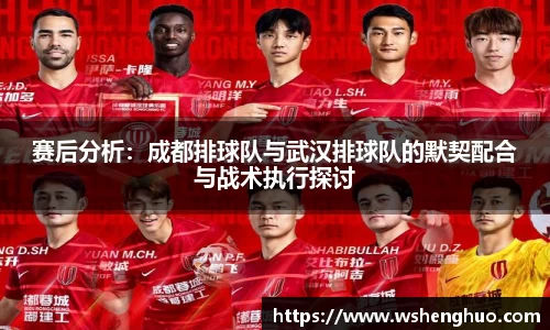 赛后分析：成都排球队与武汉排球队的默契配合与战术执行探讨