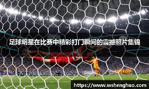 金年会金字招牌